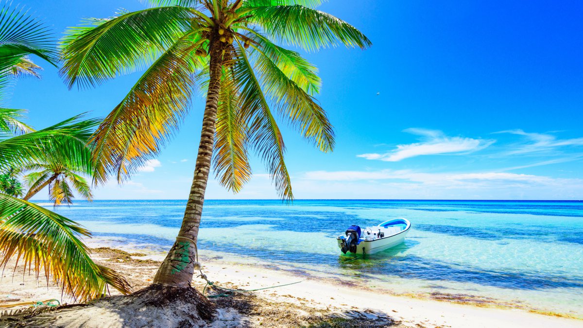 夏日海滩手游_海边夏日手游0.1_海边夏日手机游戏