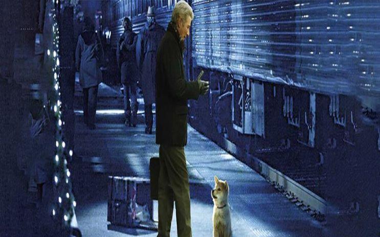 电影忠犬八公在线观看完整_电影忠犬八公国语版_忠犬八公电影播放免费播放