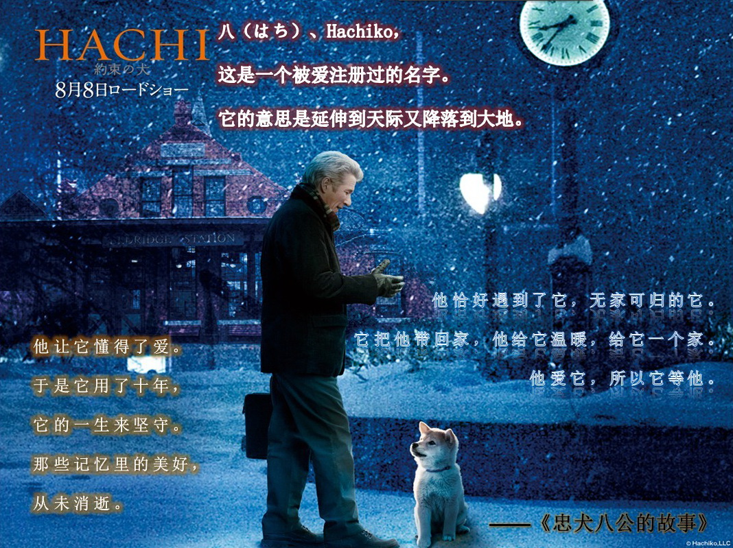 电影忠犬八公国语版_电影忠犬八公在线观看完整_忠犬八公电影播放免费播放