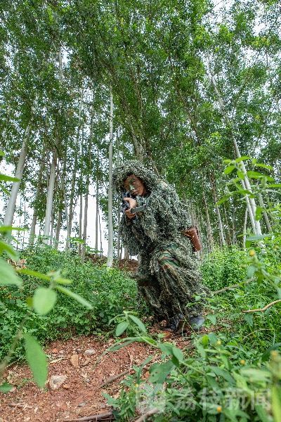 集结员特遣队怎么进_特遣队2：全员集结_特遣队全员集结结尾彩蛋