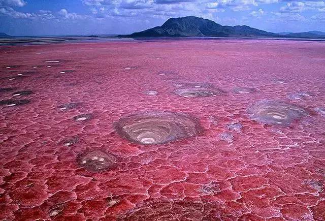 土天冥海：神秘石柱与光芒生物，探险队带回惊人发现