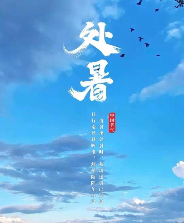 秋老虎_秋老虎是哪个季节_秋老虎是什么意思