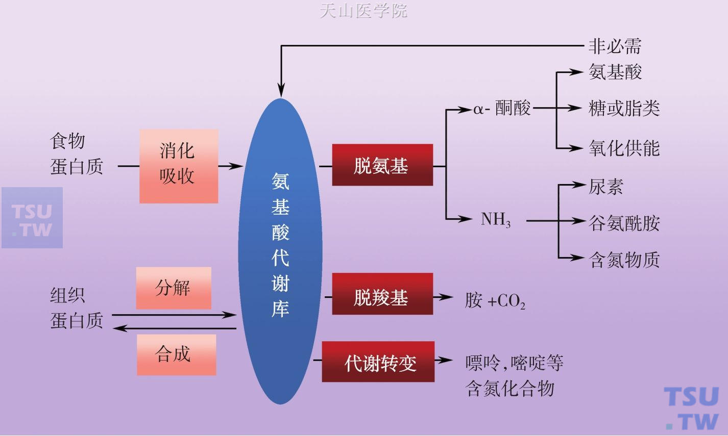 孩子玩手机游戏好不好_孩子玩手机小游戏好吗吗_爱玩手机游戏的孩子