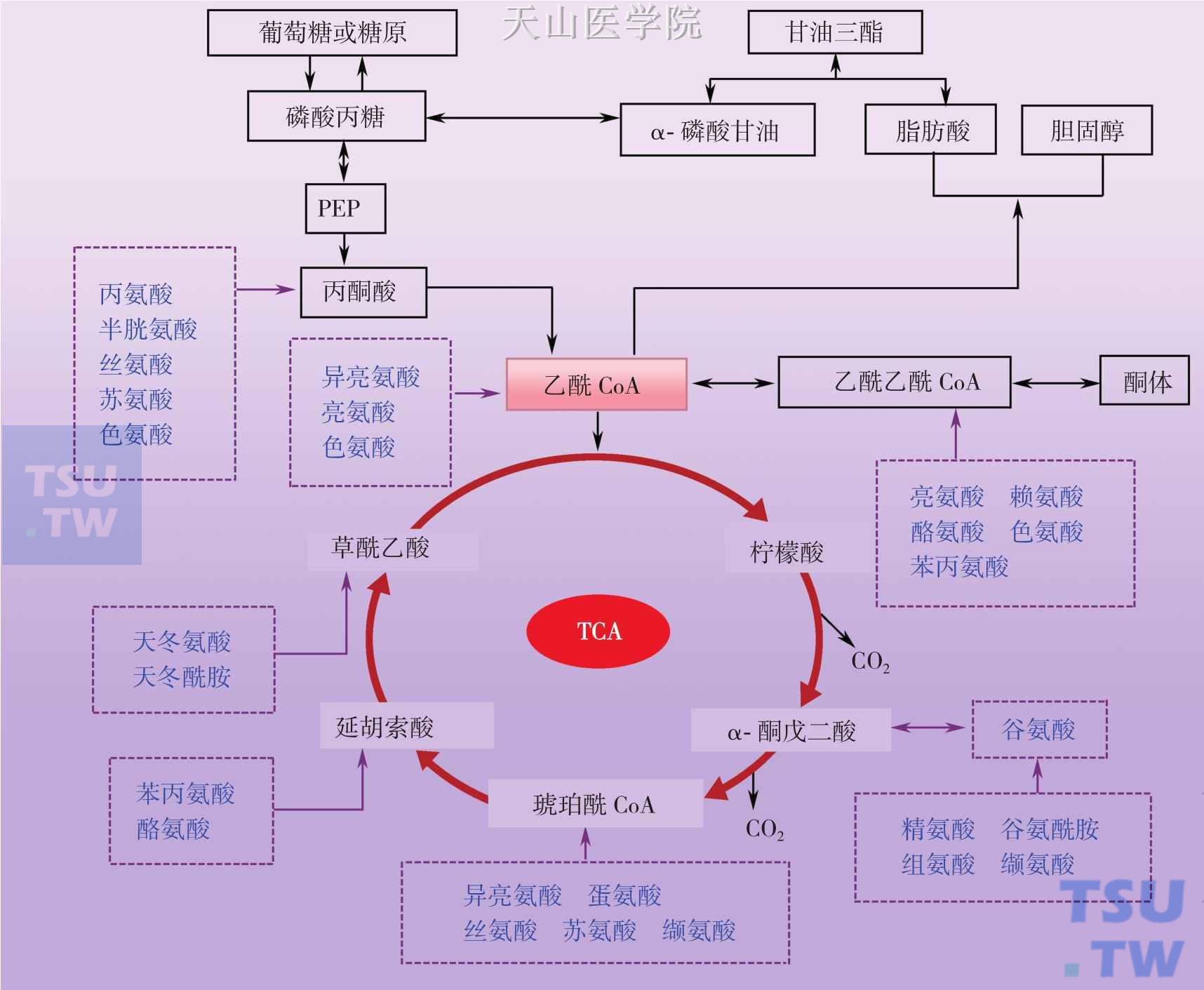 孩子玩手机小游戏好吗吗_爱玩手机游戏的孩子_孩子玩手机游戏好不好