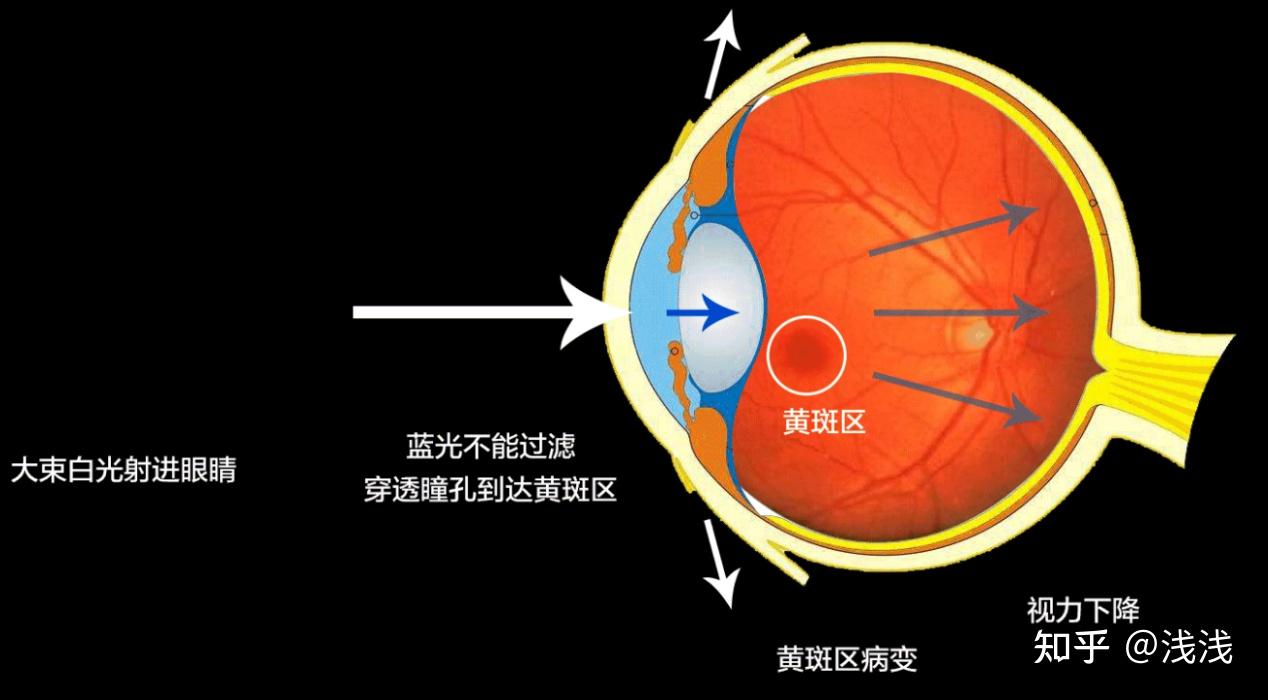 开学没收游戏手机_开学没收手机的说说_开学没收手机游戏违法吗