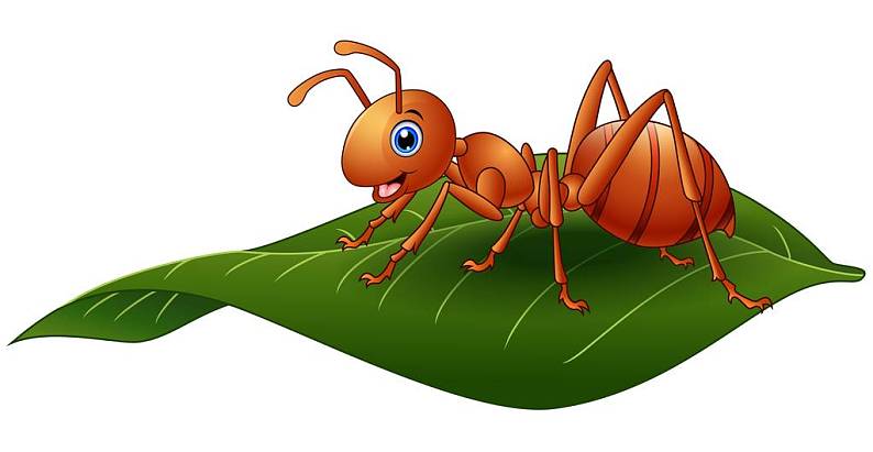 蚂蚁和树叶的手机游戏视频_树叶手工蚂蚁怎么做最好看_树叶蚂蚁图片
