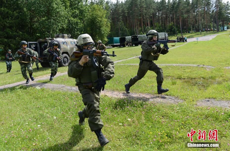 战术配合手机射击游戏下载_战术射击游戏推荐_射击对战