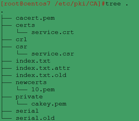 linux修改文件夹名字_linux改名文件_修改文件名linux