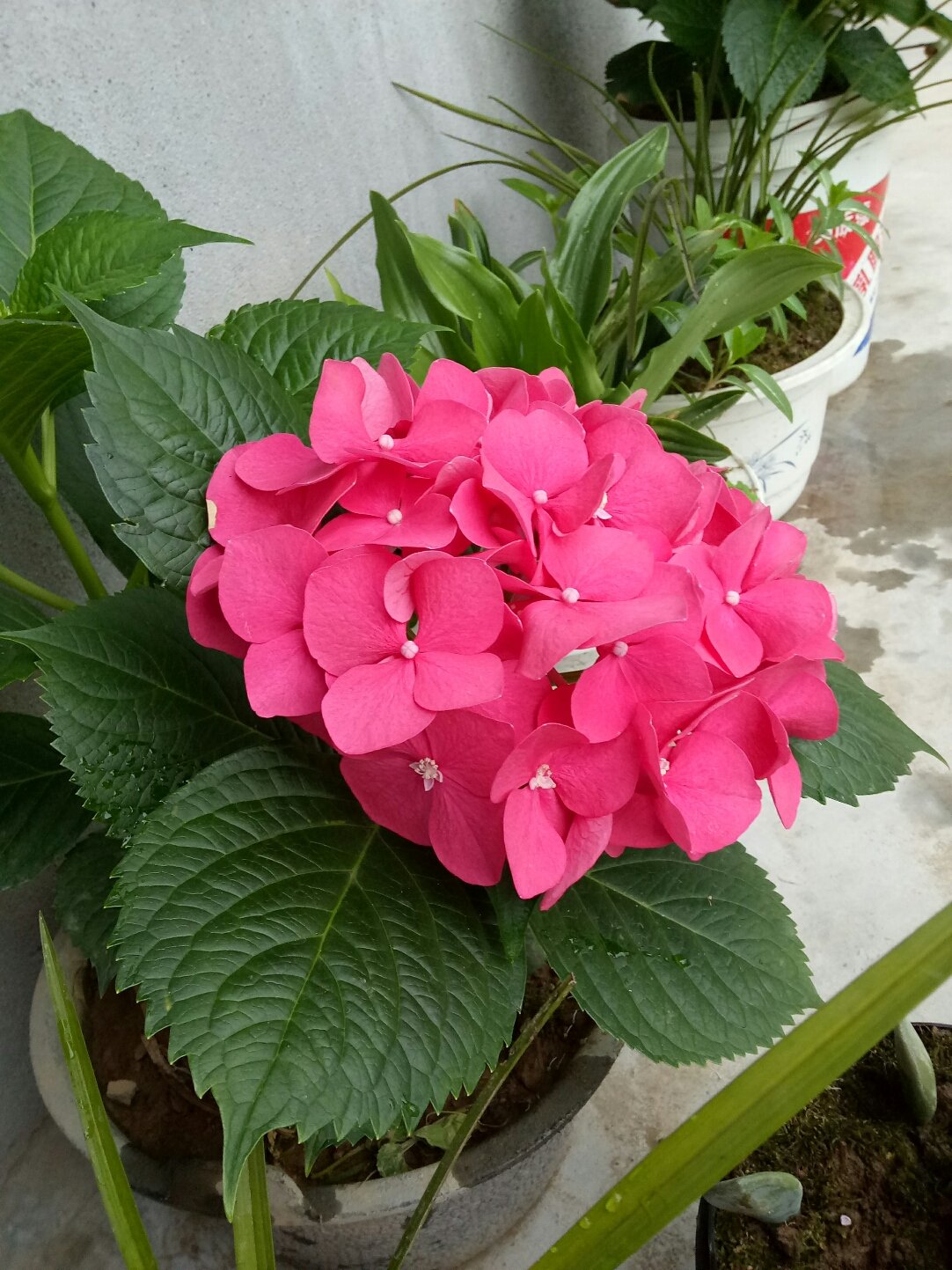 拍手街机游戏叫什么_街机拍拍乐游戏手机版_街拍手机游戏