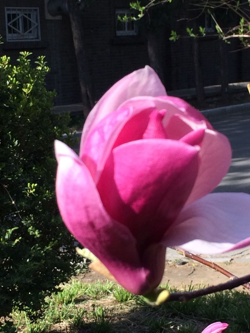 街机拍拍乐游戏手机版_拍手街机游戏叫什么_街拍手机游戏