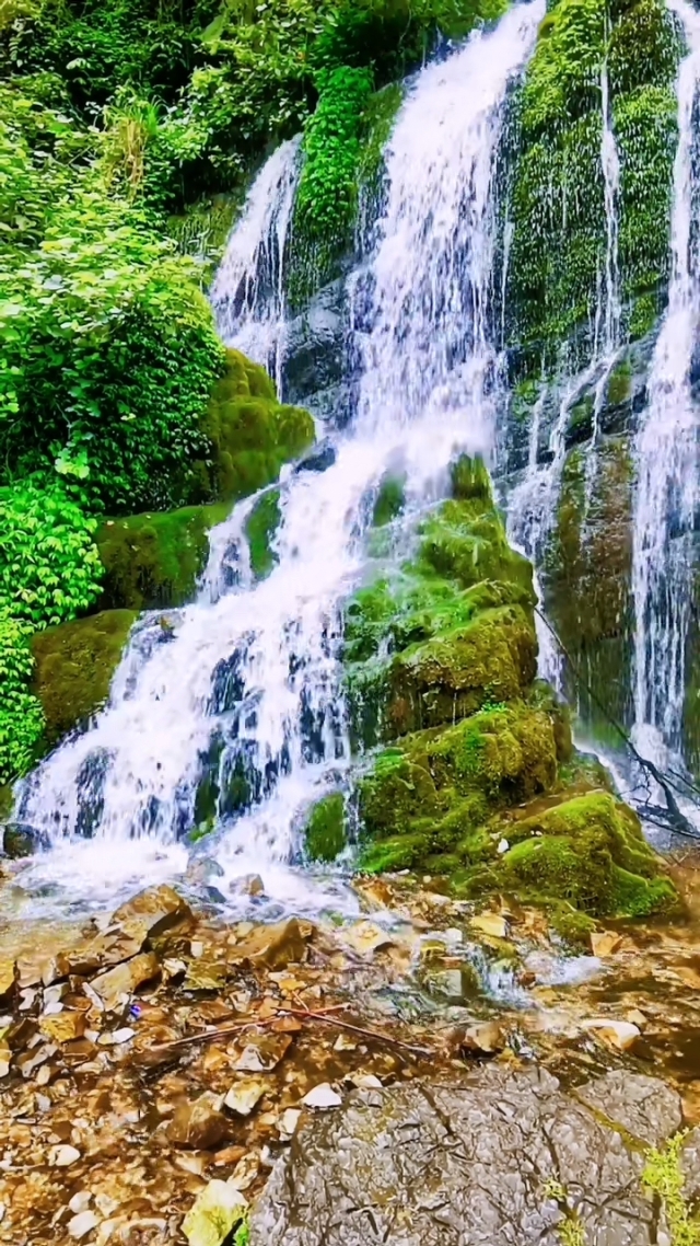 有优美风景的手机游戏软件_优美风景软件手机游戏有什么_优美风景软件手机游戏有哪些