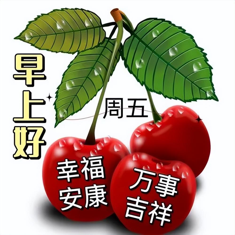 5月22日_月季花_月经一直不干净是什么原因