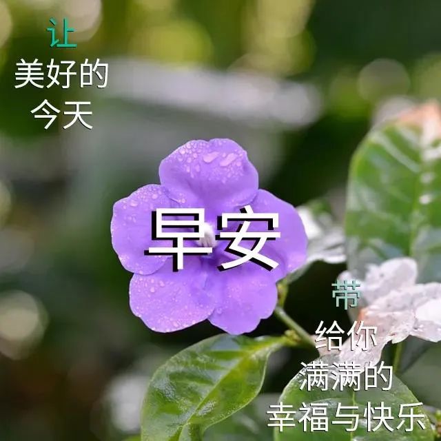 之的五笔怎么打字_打字五笔怎么打_霞五笔怎么打字五笔