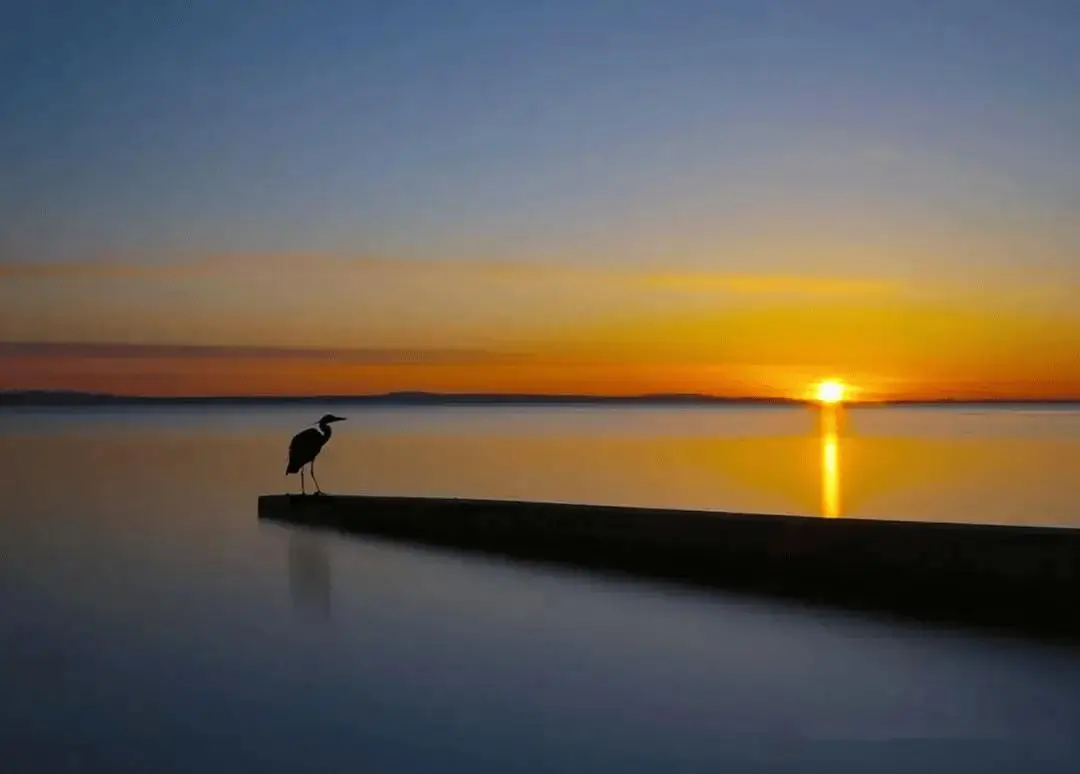 半日浮生不得闲前半句_浮生半日_半日浮生意思