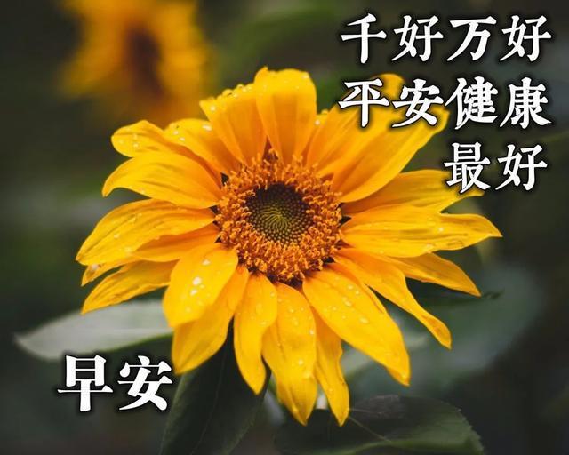 那年有润月年_2020年2月29日_哪些年是闰月年