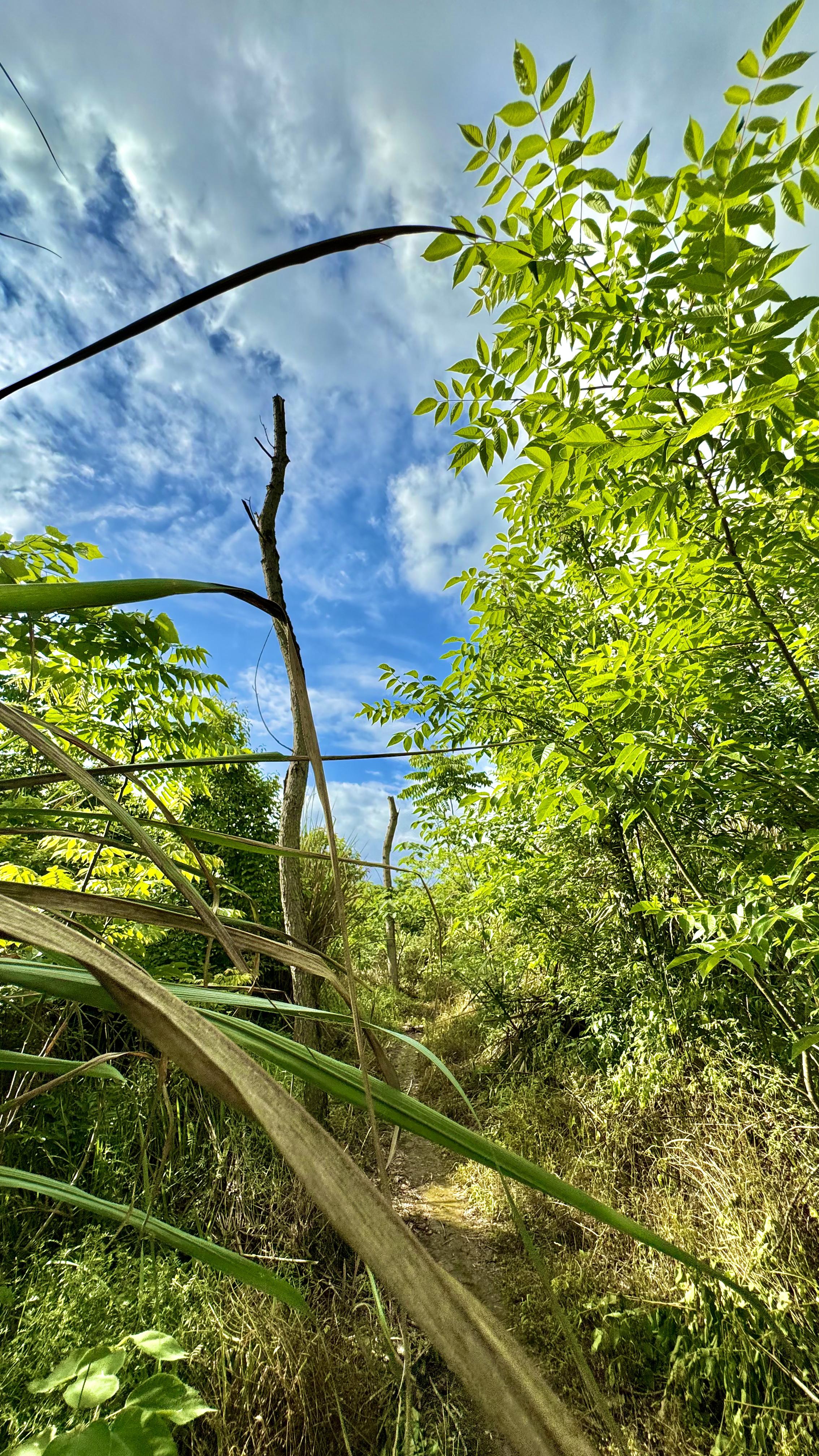 羽诗芬内衣简介_诗羽_羽诗芬