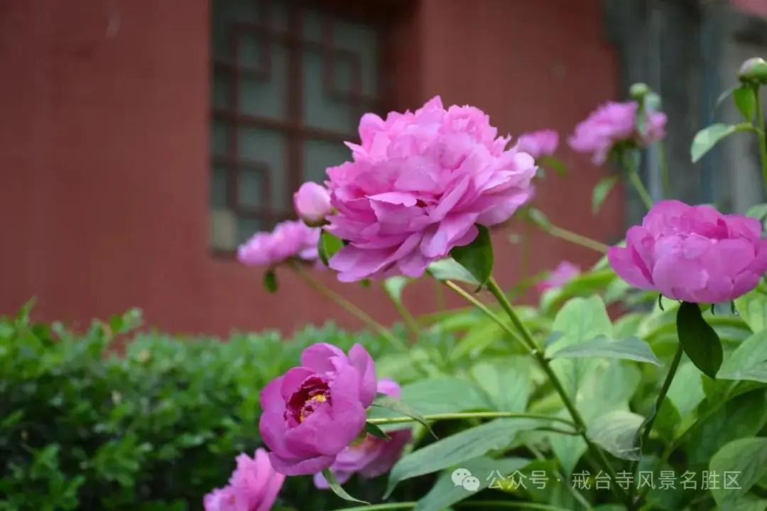 阳西东水风景区_东月西阳_阳西东水