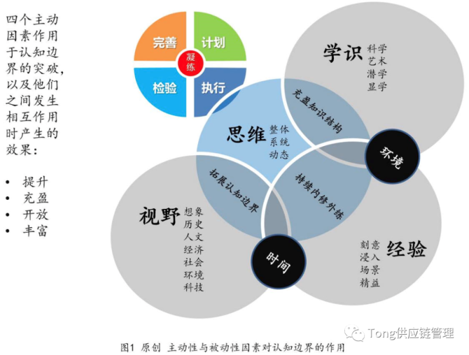 暴力杰克1_暴力杰克ova_暴力杰克血腥