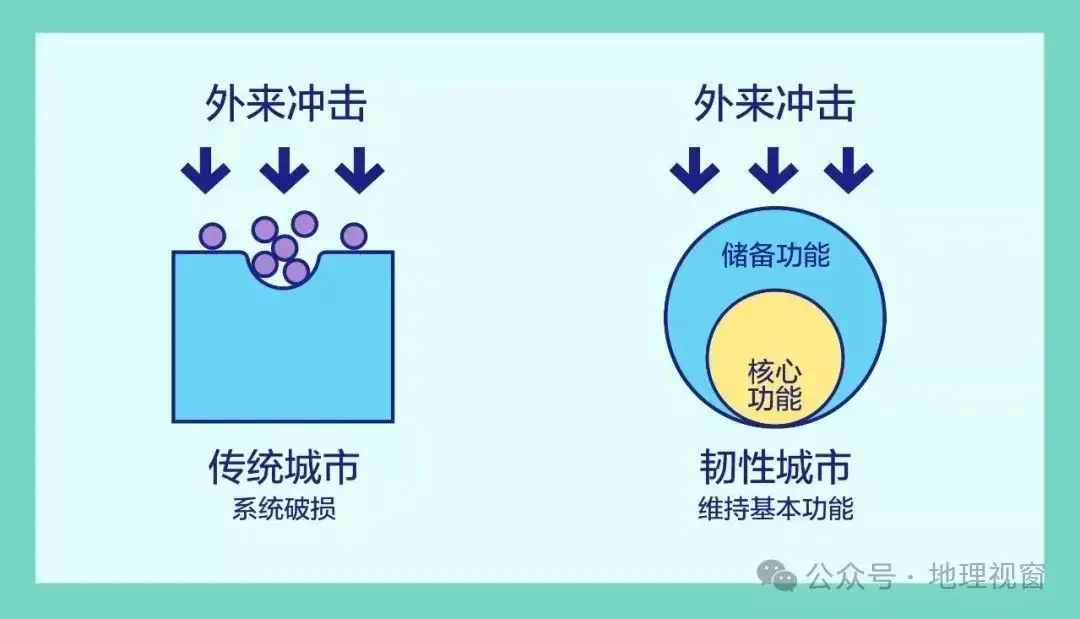 202年-2020 年：充满挑战与不确定性，见证人类韧性与团