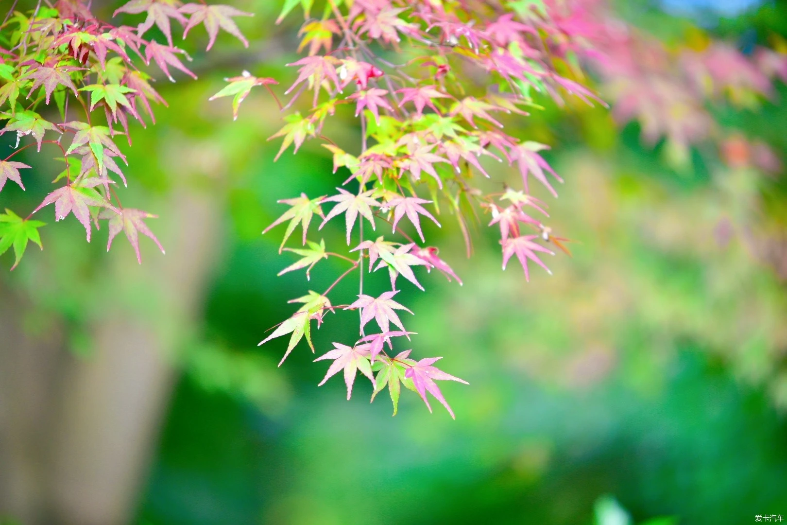 那年有润月年_月日年还是日月年_2016年10月