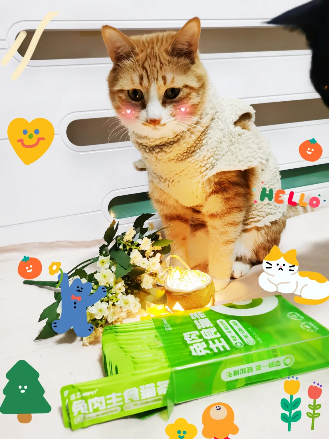 猫猫打游戏动态图_猫打游戏的表情包_猫打手机游戏图片