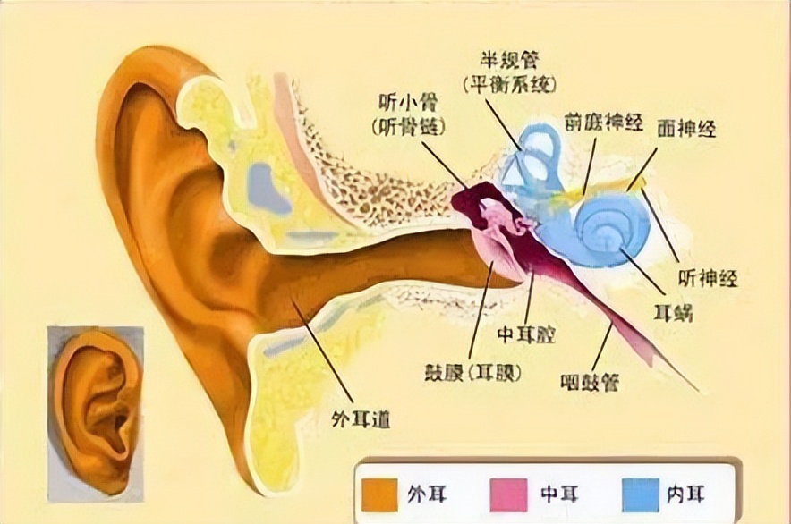 手机版怎么做皮肤_怎么做游戏的皮肤手机_制作游戏皮肤的软件手机版