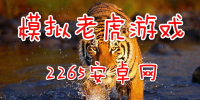 老虎游戏是什么,趣味横生的互动体验之旅