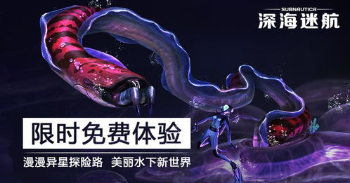 深海游戏如何,揭秘水下世界的游戏奥秘