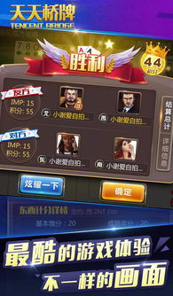 在线桥牌游戏,连接智慧与乐趣的虚拟竞技场