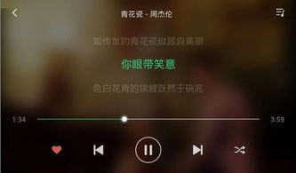 安卓系统车载音乐软件,安卓系统下的音乐盛宴
