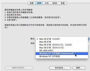 双系统安卓硬盘格式,深度揭秘硬盘格式选择与优化技巧