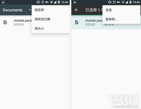 安卓系统文件管理特性,高效组织与便捷访问的奥秘解析
